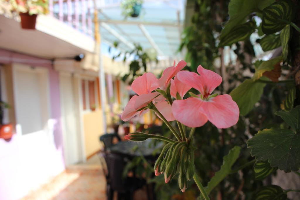 Hostal Yumbo Imperial Κίτο Εξωτερικό φωτογραφία